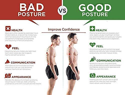 Posture Corrector Belt For Men and Women